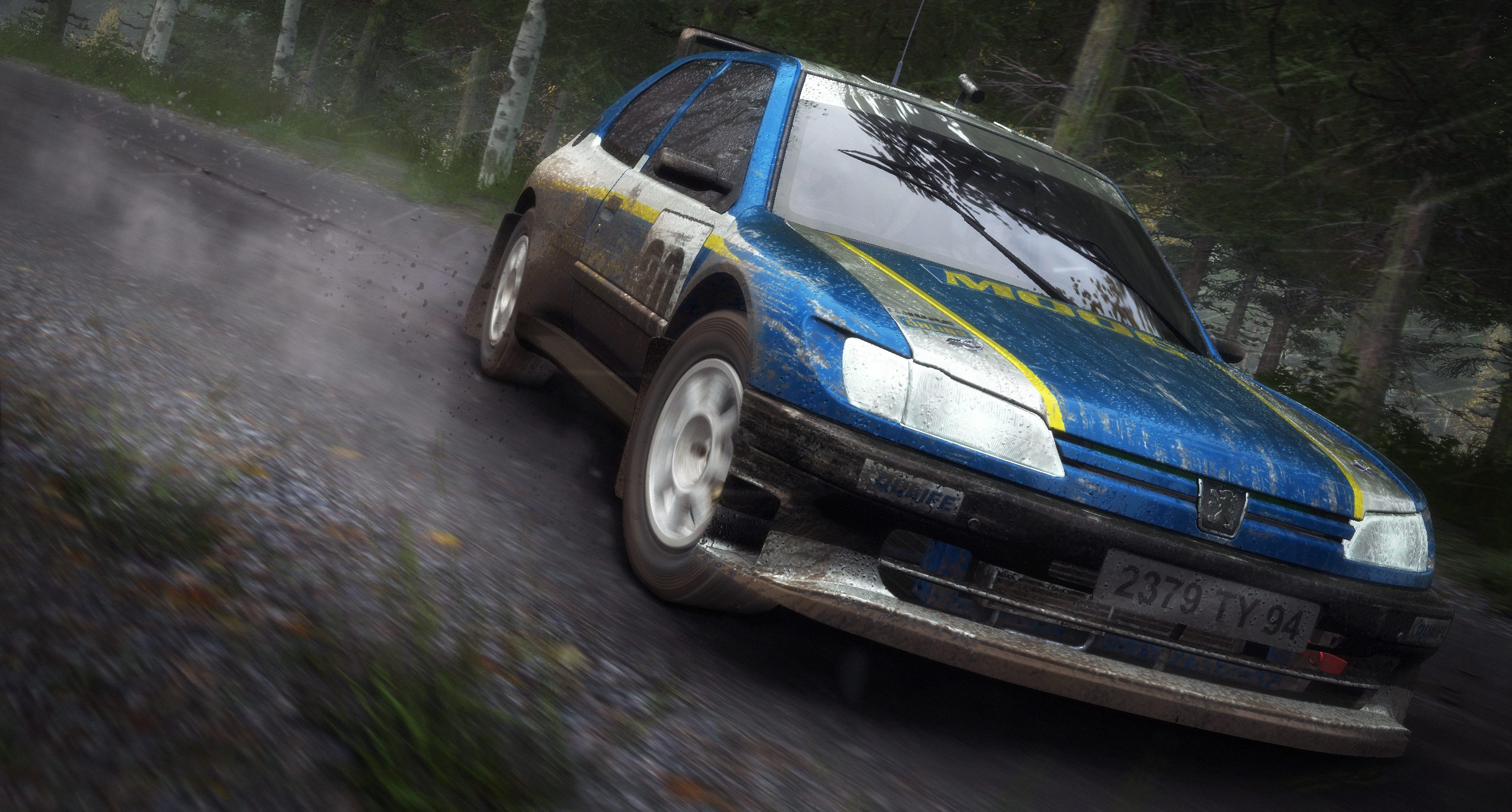 DiRT Rally - Imagen 20